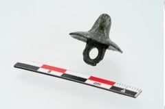Foto von Bronzeknopf (NHMW-PRAE-024441)